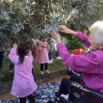 Campi Bisenzio, bambini e anziani raccolgono le olive nell’oliveta dell’Rsa La Mimosa